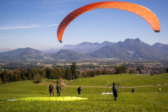 Vanessa gleich hinterher