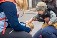 2025_10_04_Dohlen_Schoenjoch_040826