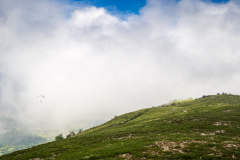 der löst sich bald auf